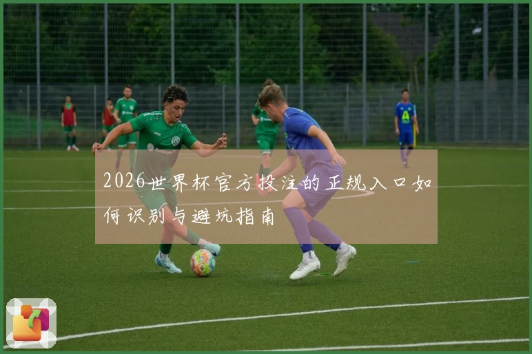 2026世界杯官方投注的正规入口如何识别与避坑指南