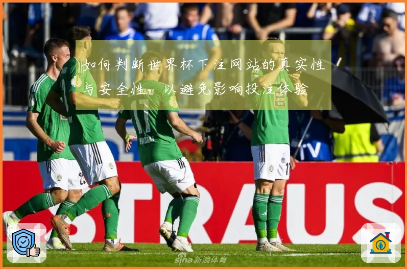 如何判断世界杯下注网站的真实性与安全性，以避免影响投注体验