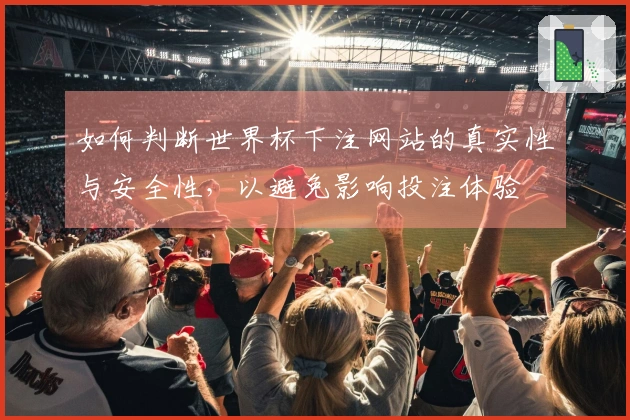 如何判断世界杯下注网站的真实性与安全性，以避免影响投注体验
