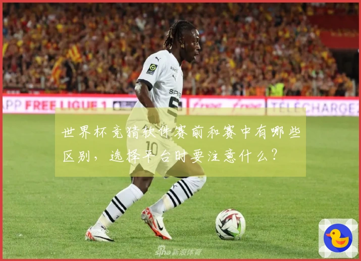世界杯竞猜软件赛前和赛中有哪些区别，选择平台时要注意什么？