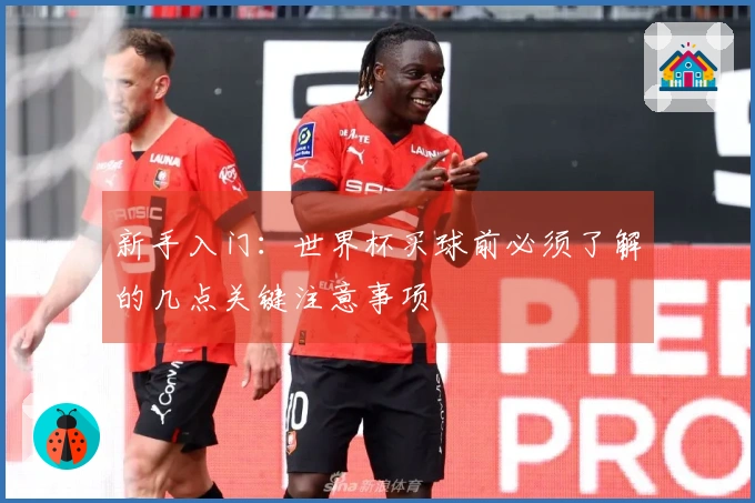 新手入门：世界杯买球前必须了解的几点关键注意事项